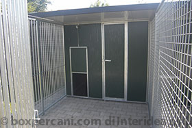 box per cani